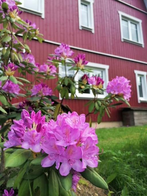 Haus Gruenfels Apartment Murau Eksteriør bilde
