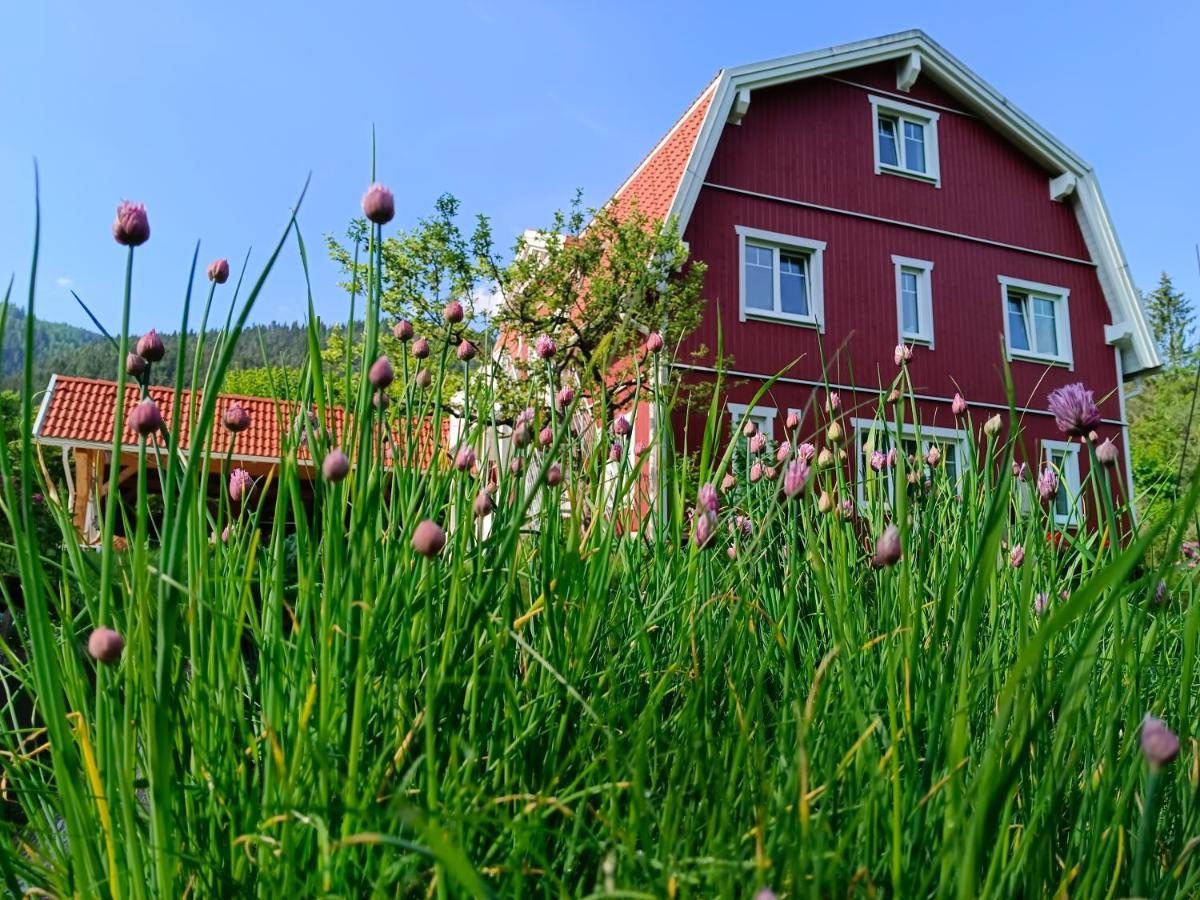 Haus Gruenfels Apartment Murau Eksteriør bilde